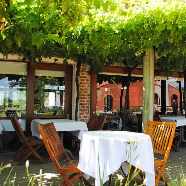 Visita Bodega Bouza com Degustação de Vinhos Mesa Parreiras