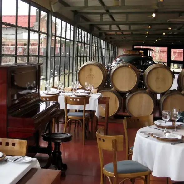 Visita Bodega Bouza com Degustação de Vinhos Piano e Barricas