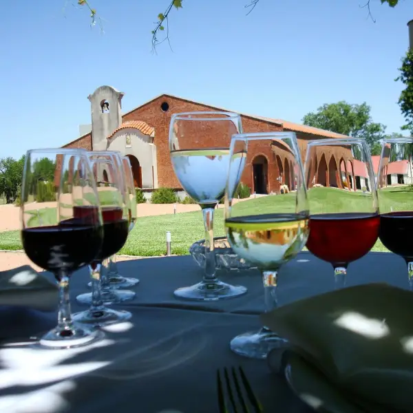 Visita Bodega Bouza com Degustação de Vinhos Taças de Vinho