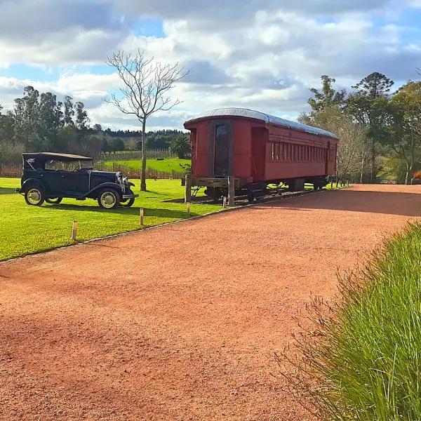 Visita Bodega Bouza com Degustação de Vinhos Vagão Jardim