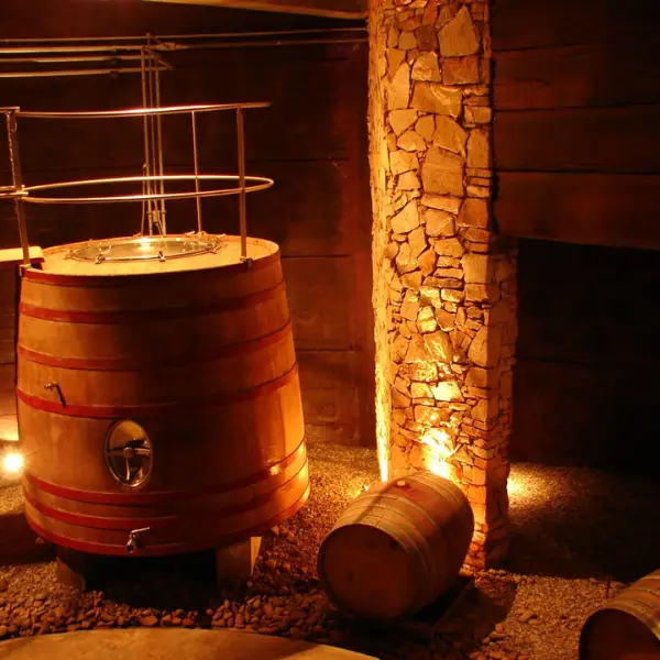 Visita Bodega Juanicó com Degustação Cava Barril