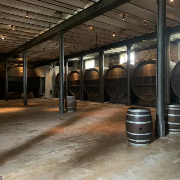 Visita Bodega Spinoglio com Degustação Cava