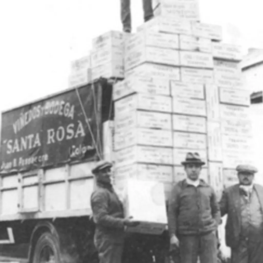 Bodegas y Viñedos Santa Rosa História