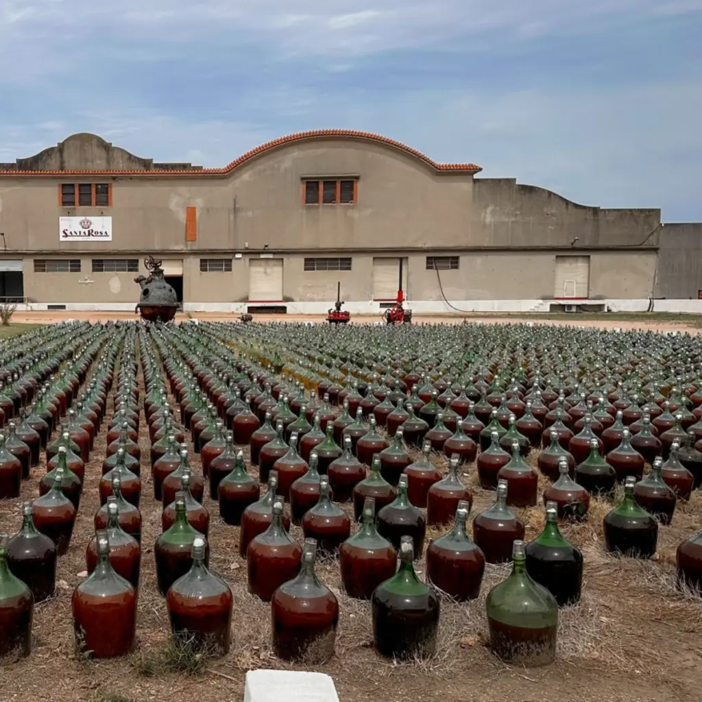 Bodegas y Viñedos Santa Rosa Vinhos Finos
