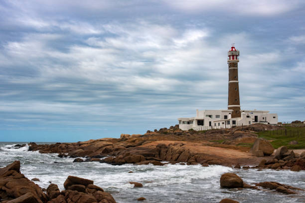 Full Day Cabo Polonio  — Foto 1