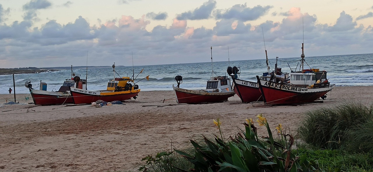 Full Day Cabo Polonio  — Foto 5